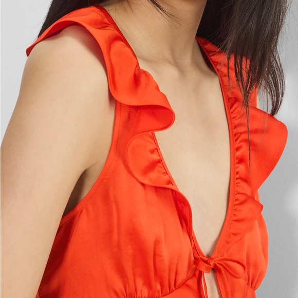 Aritzia | Wilfred | Tonka Satin sleeveless V-neck ruffled blouse - Picture 4 of 8